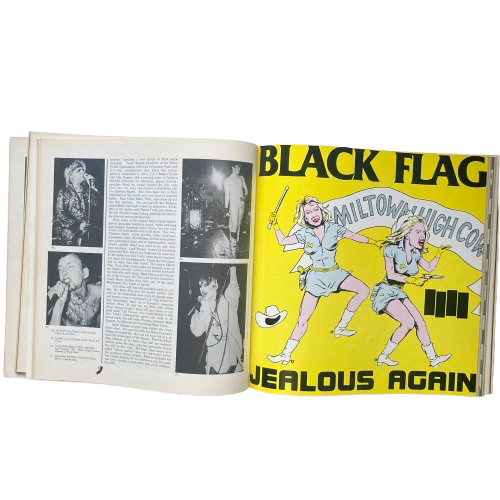 Hardcore California History Of Punk and New Wave - Peter Belsito & Bob Davis