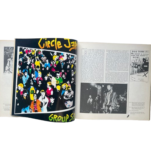 Hardcore California History Of Punk and New Wave - Peter Belsito & Bob Davis