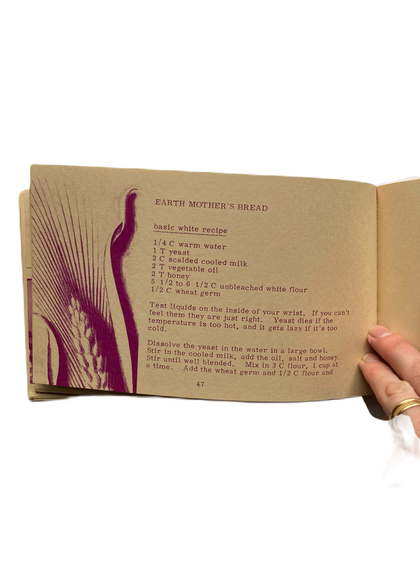 'The Hippie Cookbook, or Don’t Eat Your Food Stamps' by Gordon and Phylis Grabe
