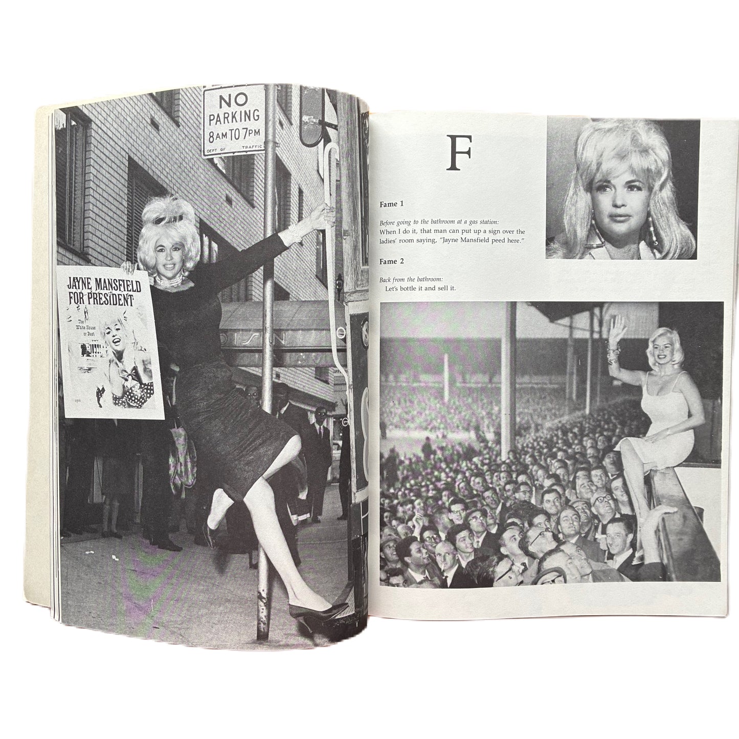 Sexbomb: The Life and Death of Jayne Mansfield by Guus Luijters/ Gerard Timmer