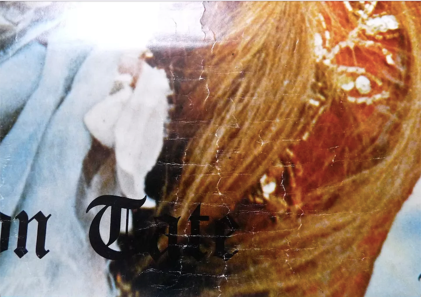 Rare Original Sharon Tate 'Why?' Poster from 1971