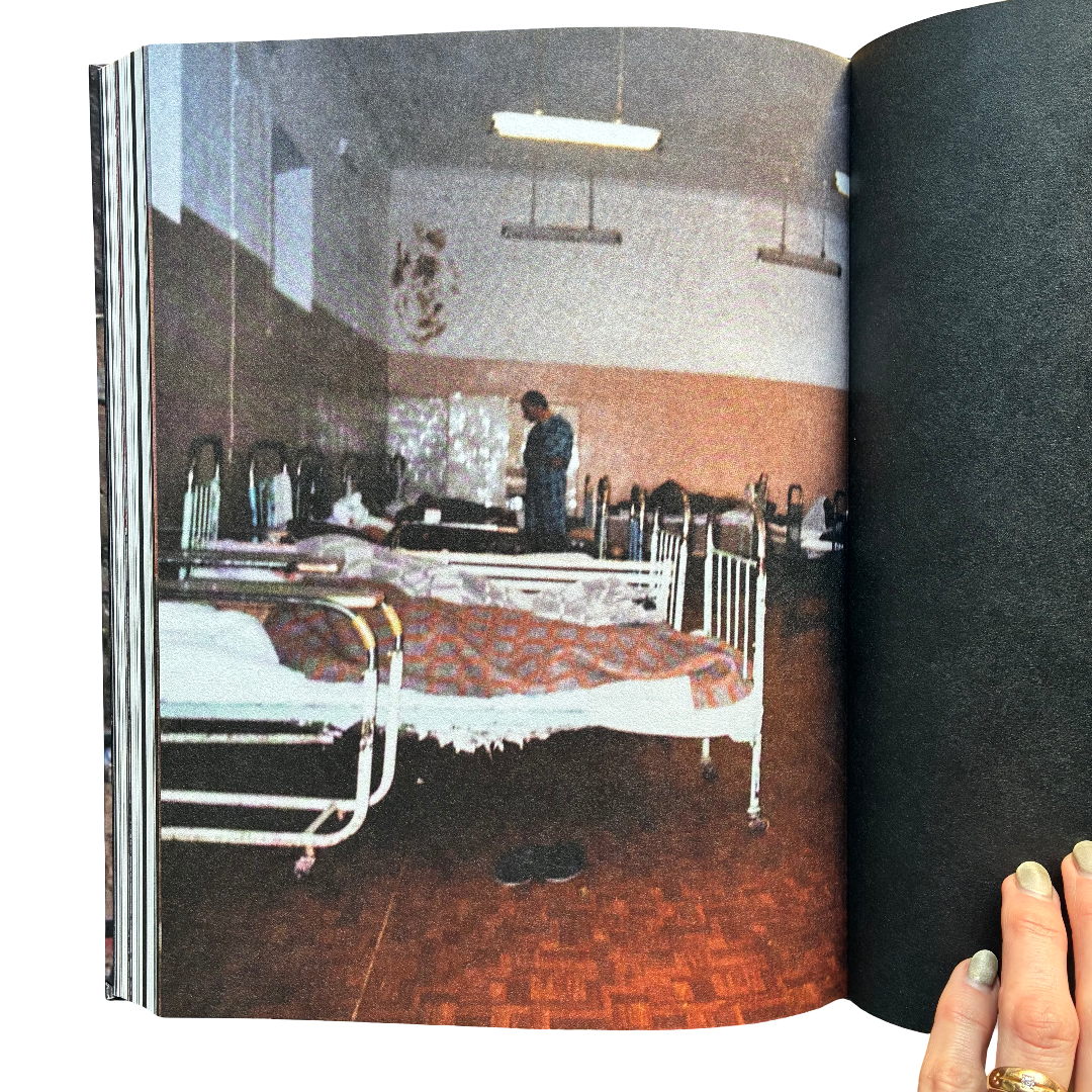 A Tree Called Home by Kent Klich