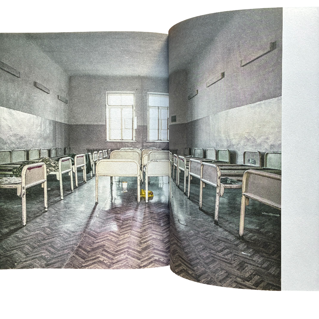 A Tree Called Home by Kent Klich